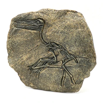 1Шт 22x20 см Ископаемый динозавр из смолы юрского мелового периода птерозавры Для домашнего Декора